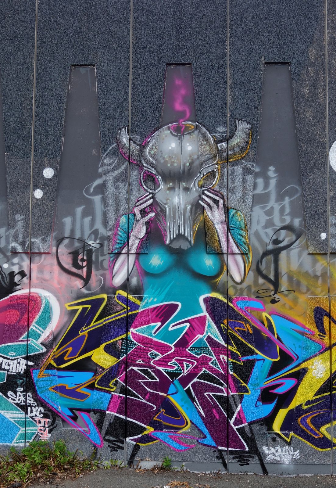 Street Art : Graffitis & Fresques Murales 24557 Trelissac