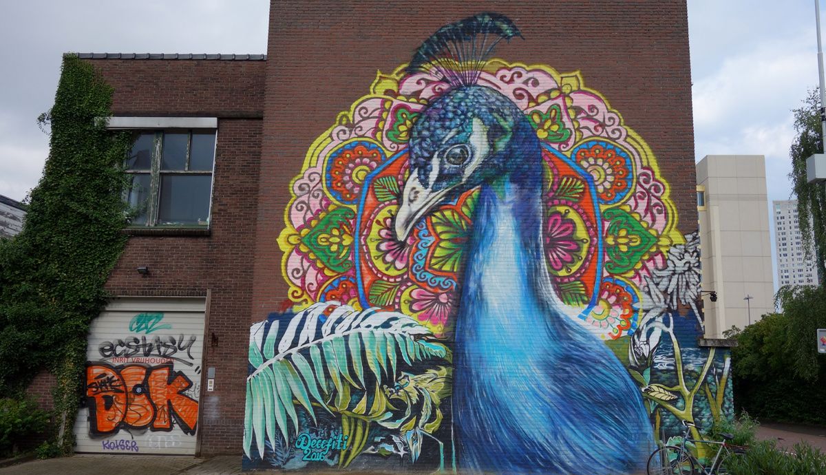 Street Art : Graffitis & Fresques Murales 5611 Eindhoven (Pays Bas)
