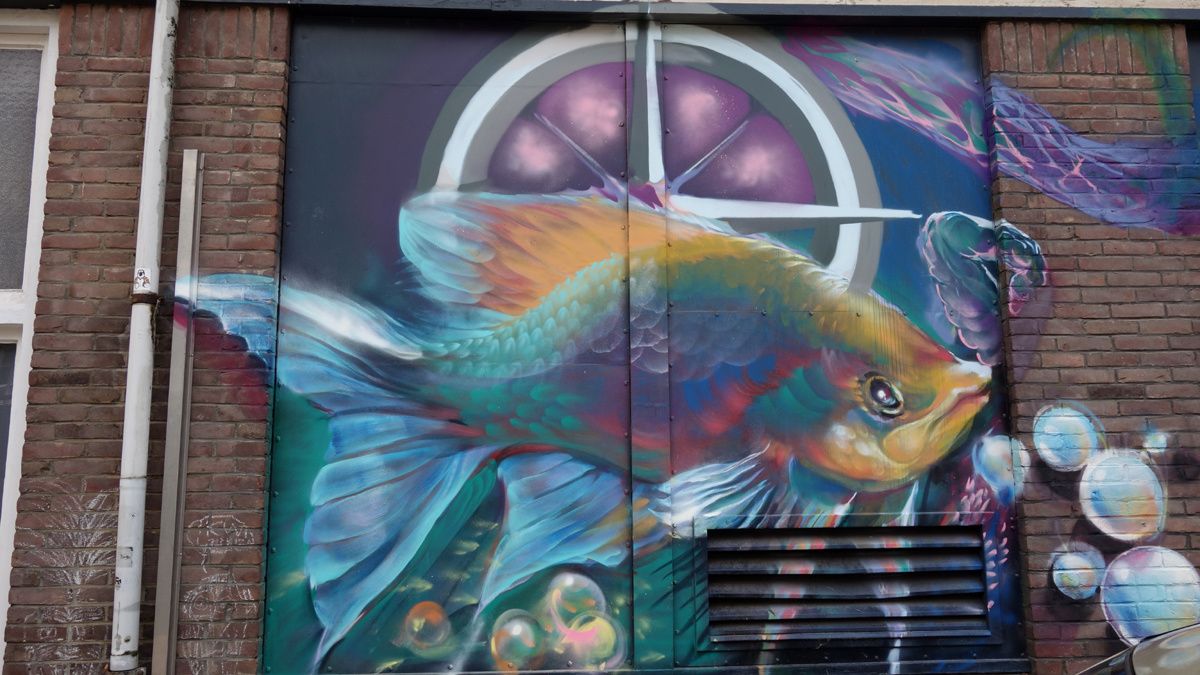 Street Art : Graffitis & Fresques Murales 5611 Eindhoven (Pays Bas)