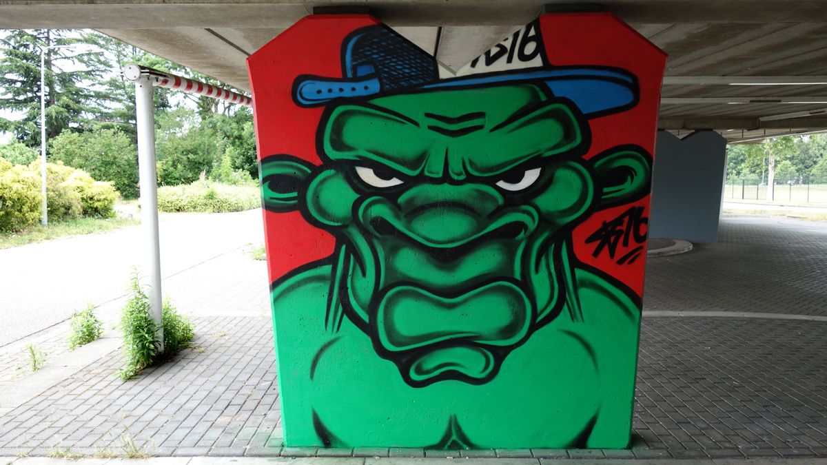Album - Graffitis Pays Bas Tom 003