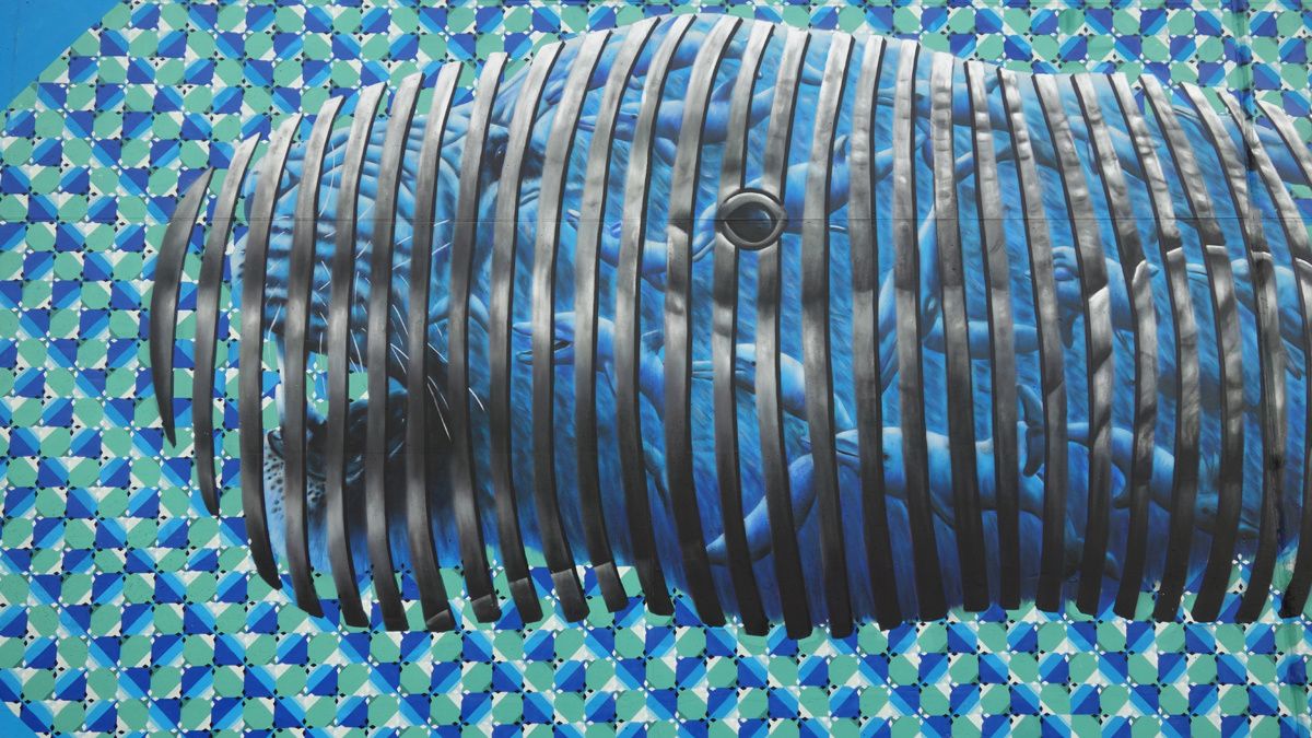 Street Art : Graffitis & Fresques Murales 2660 Antwerpen (Belgique)