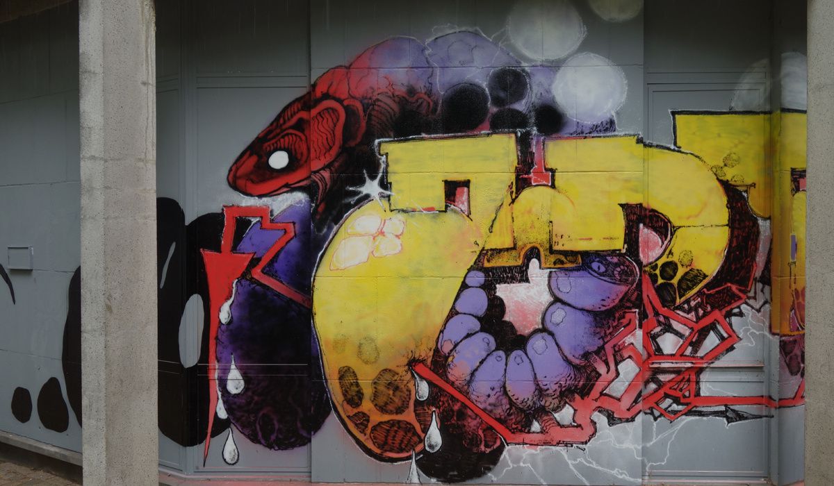 Street Art : Graffitis &amp; Fresques Murales 5000 Namur (Belgique)