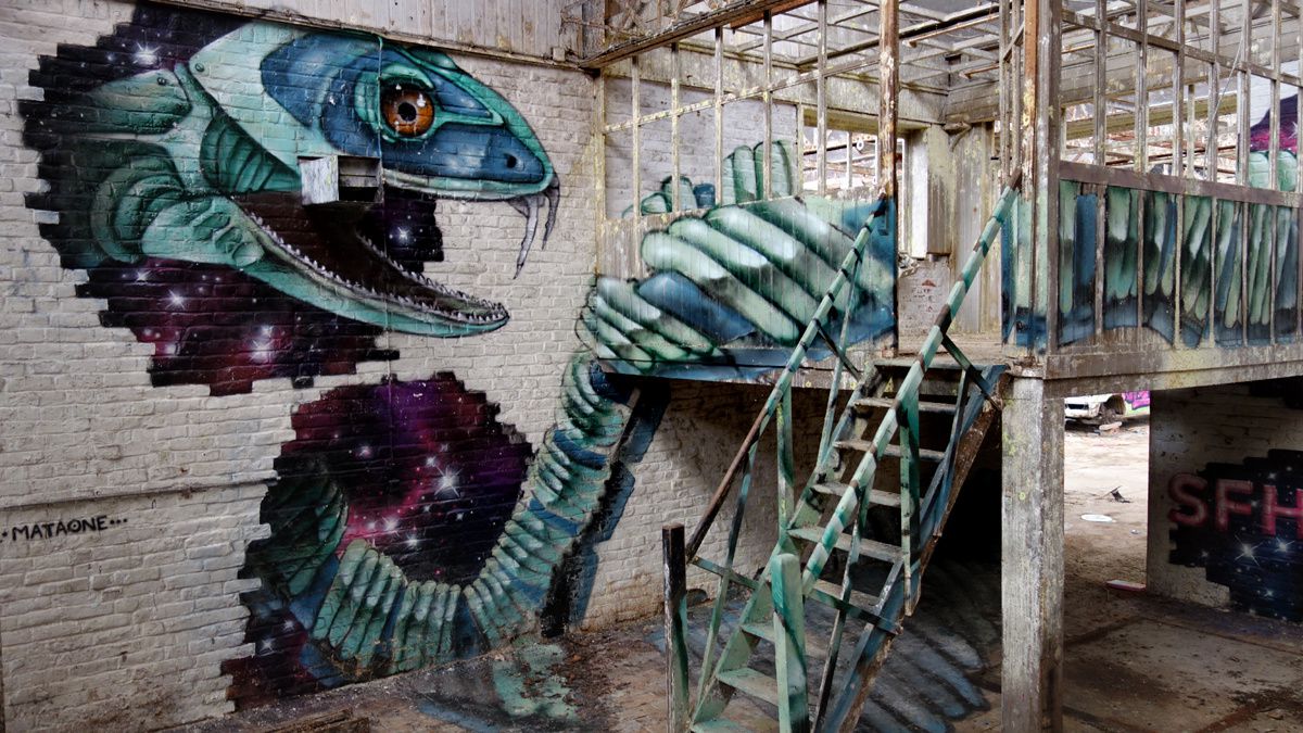 Street Art : Graffitis & Fresques Murales 9600 Ronse (Belgique)