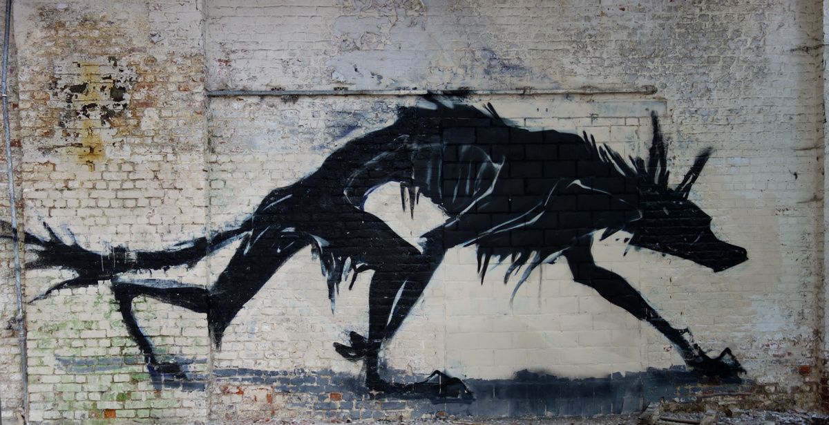 Street Art : Graffitis & Fresques Murales 9600 Ronse (Belgique)