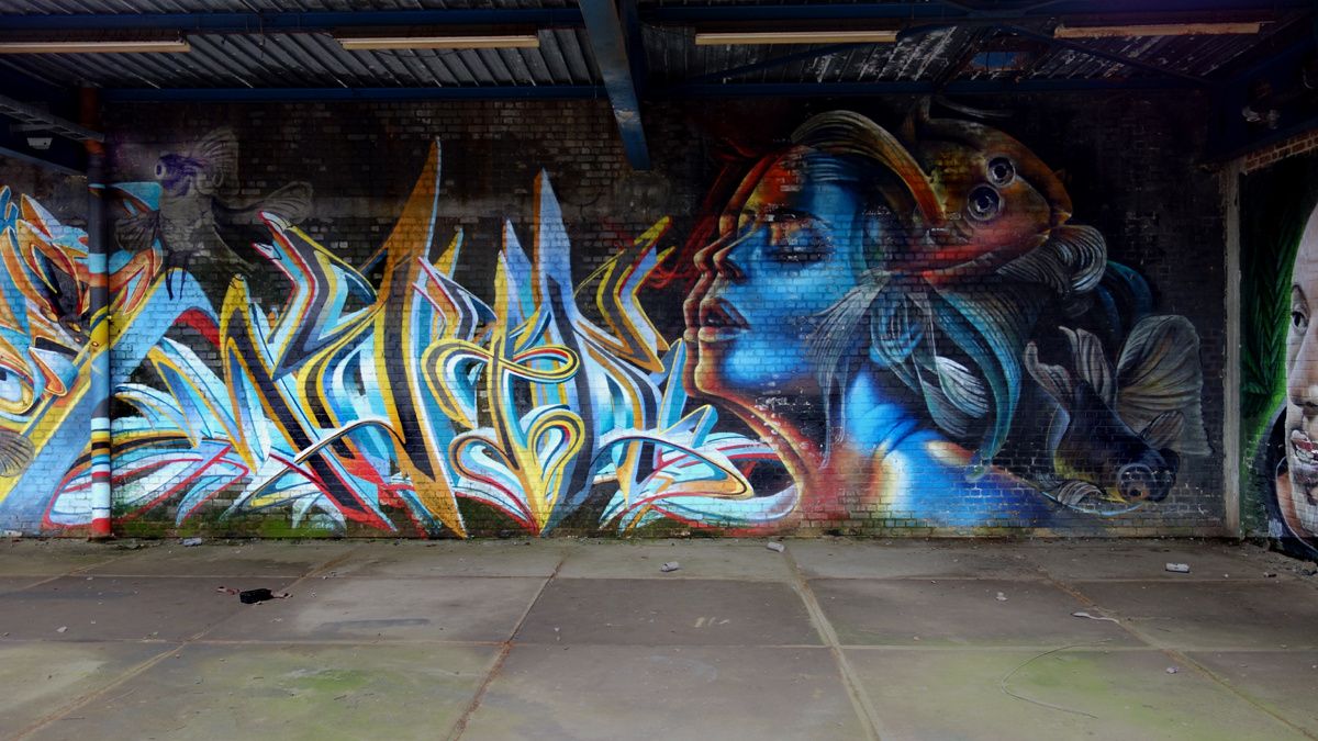 Street Art : Graffitis & Fresques Murales 9600 Ronse (Belgique)