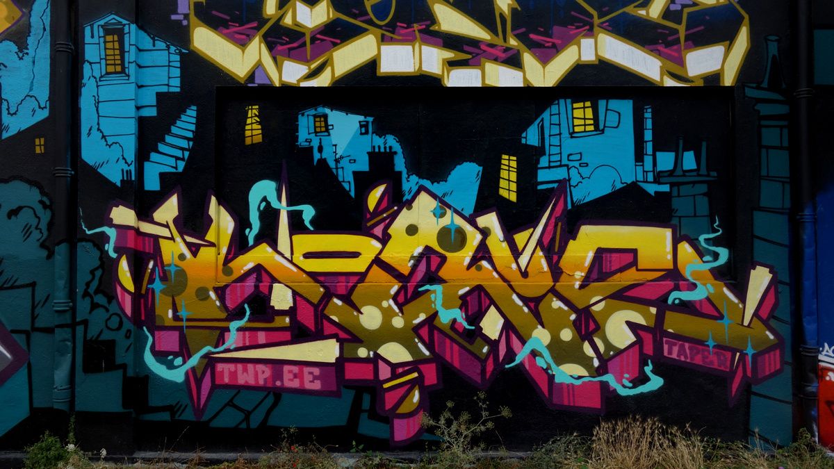 Street Art : Graffitis & Fresques Murales 17000 La Rochelle