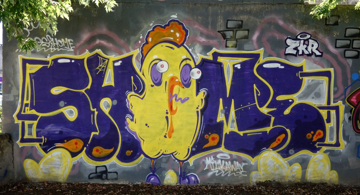 Street Art : Graffitis & Fresques Murales 33119 Cenon