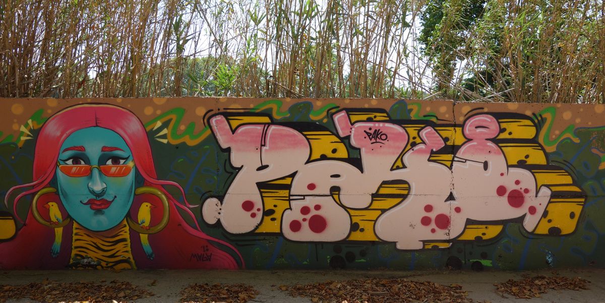 Street Art : Graffitis & Fresques Murales 08130 Barcelona (Catalunya)