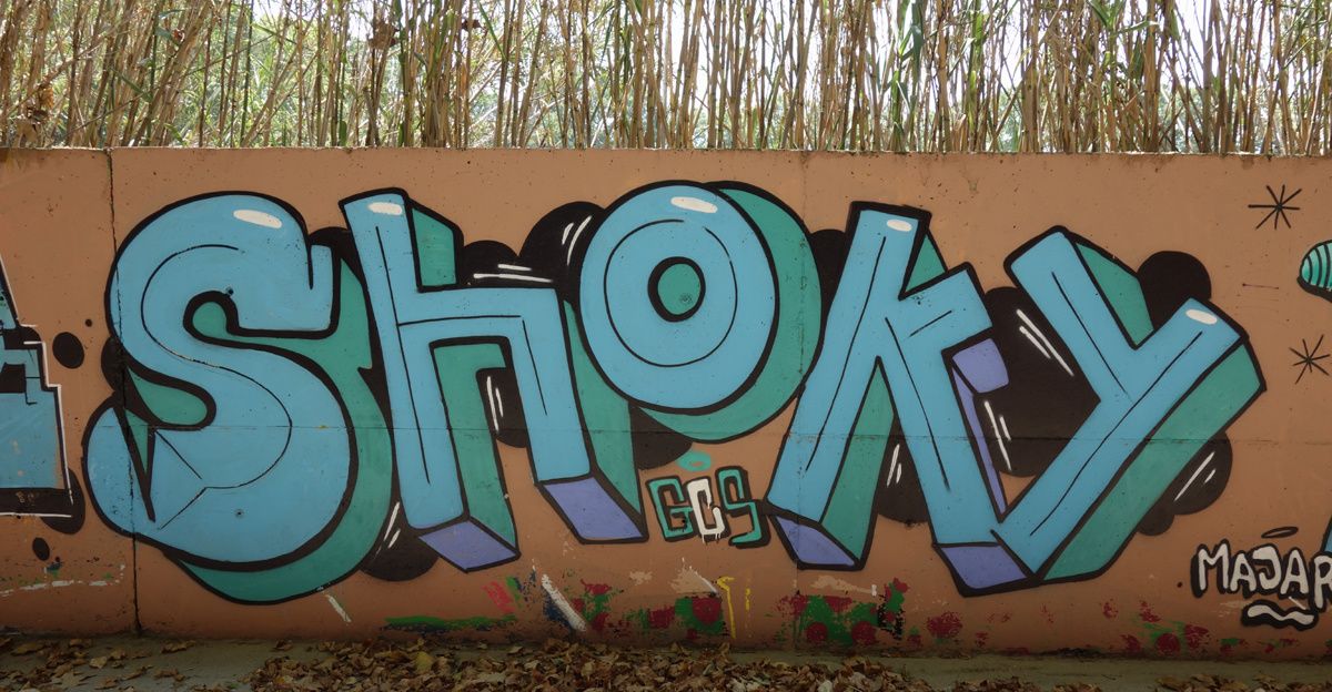 Street Art : Graffitis & Fresques Murales 08130 Barcelona (Catalunya)