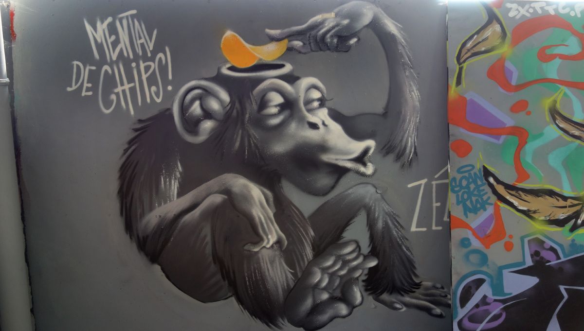 Street Art : Graffitis & Fresques Murales 31000 Toulouse