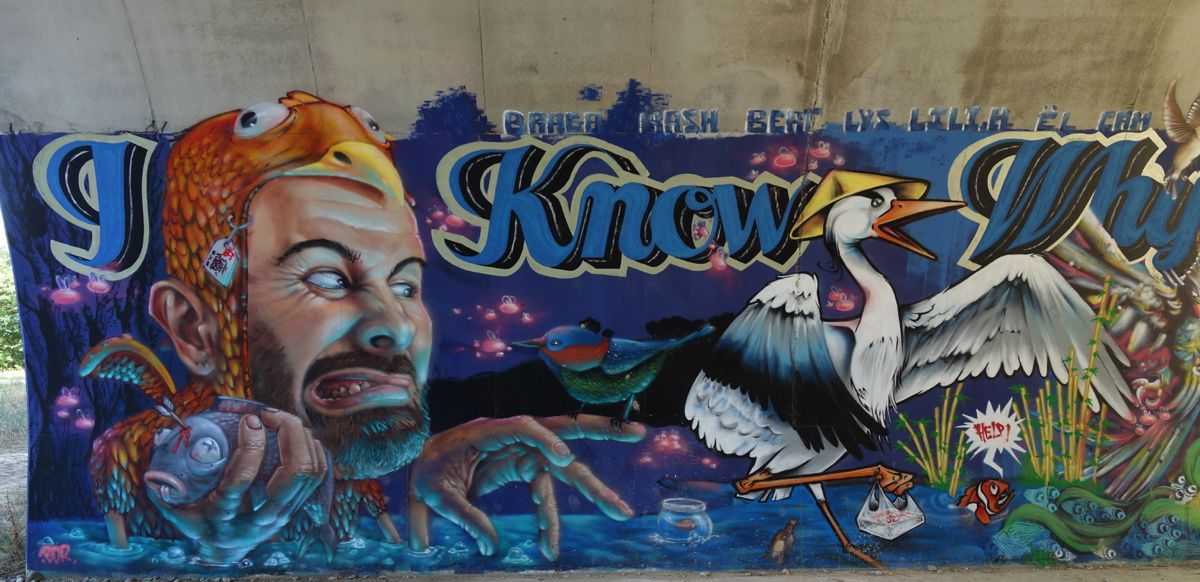 Street Art : Graffitis & Fresques Murales 07316 Soyons