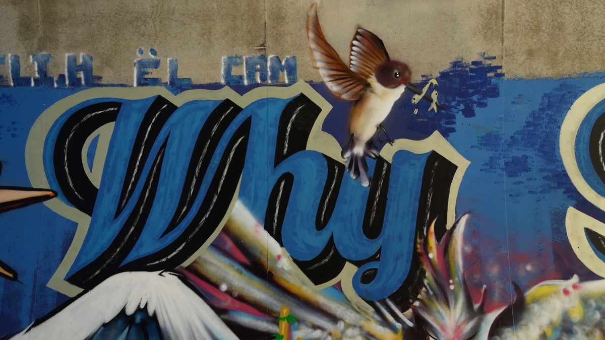 Street Art : Graffitis & Fresques Murales 07316 Soyons