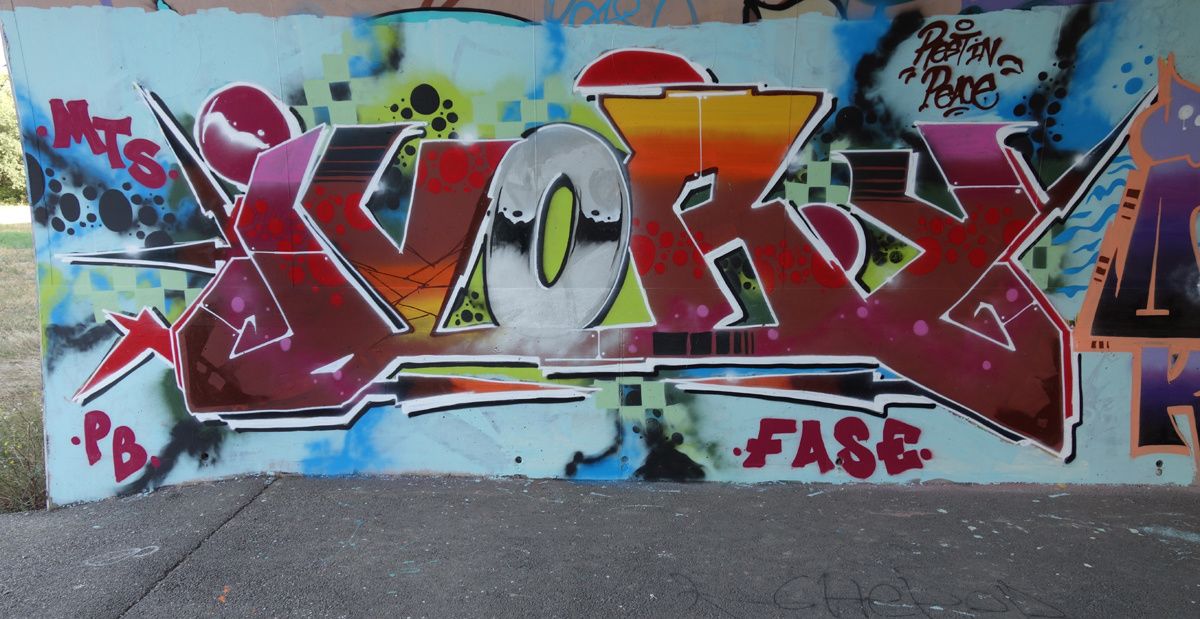 Street Art : Graffitis & Fresques Murales 07316 Soyons