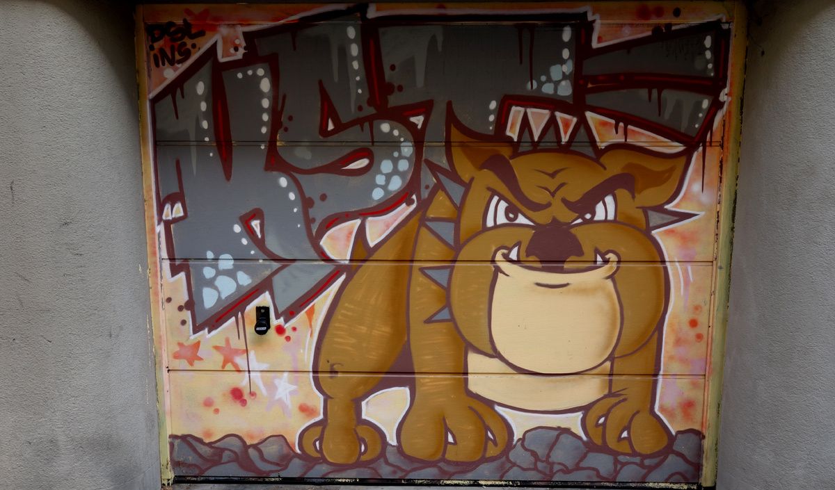 Street Art : Graffitis & Fresques Murales 38185 Grenoble