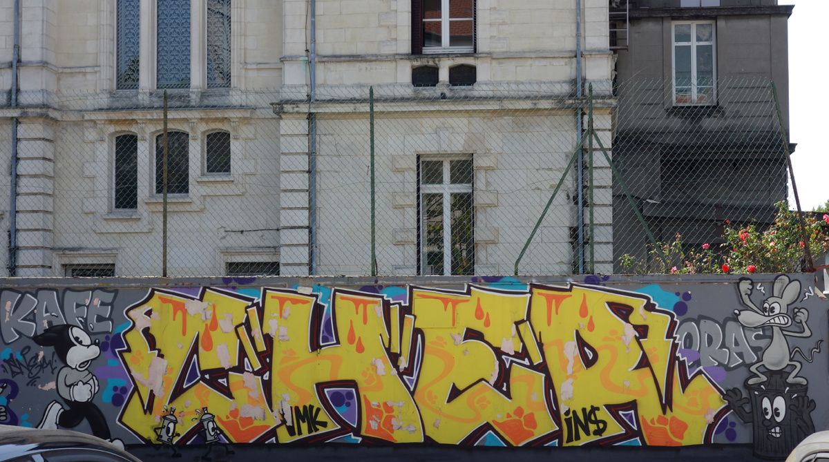 Street Art : Graffitis & Fresques Murales 38185 Grenoble