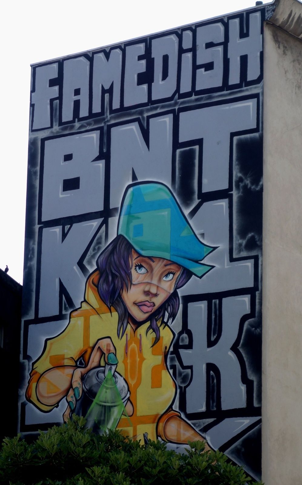 Street Art : Graffitis & Fresques Murales 38185 Grenoble