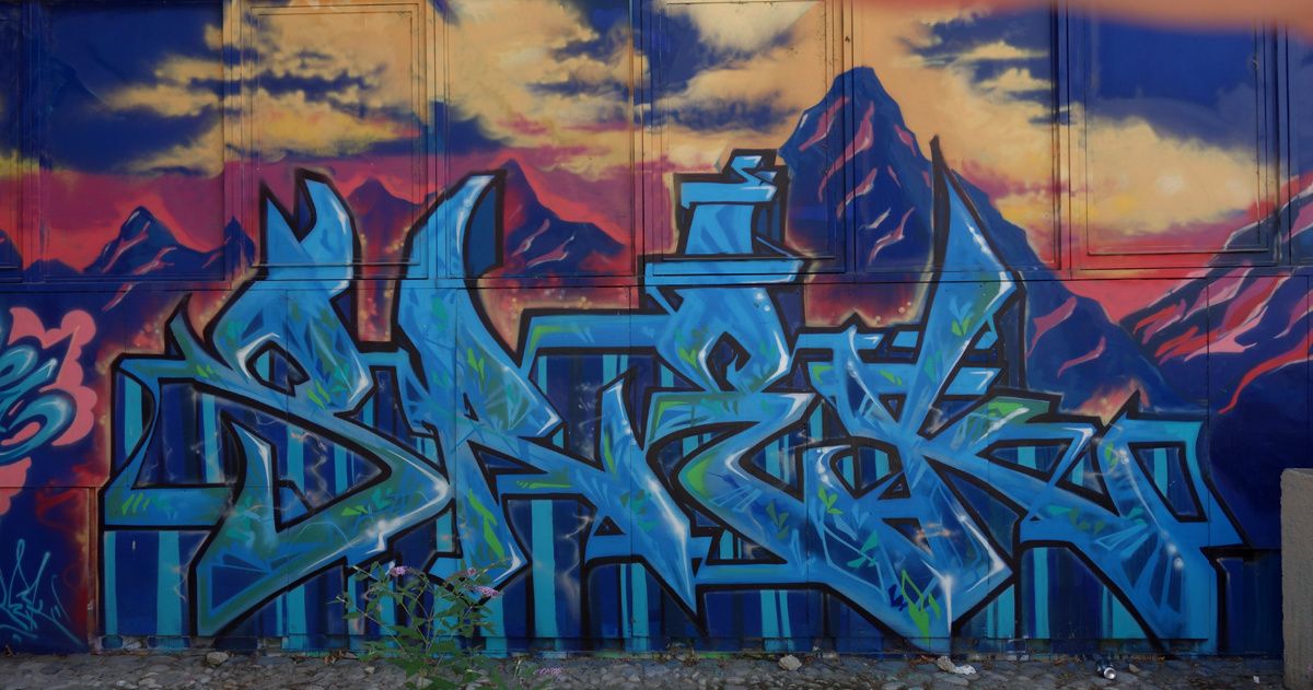 Street Art : Graffitis & Fresques Murales 38185 Grenoble