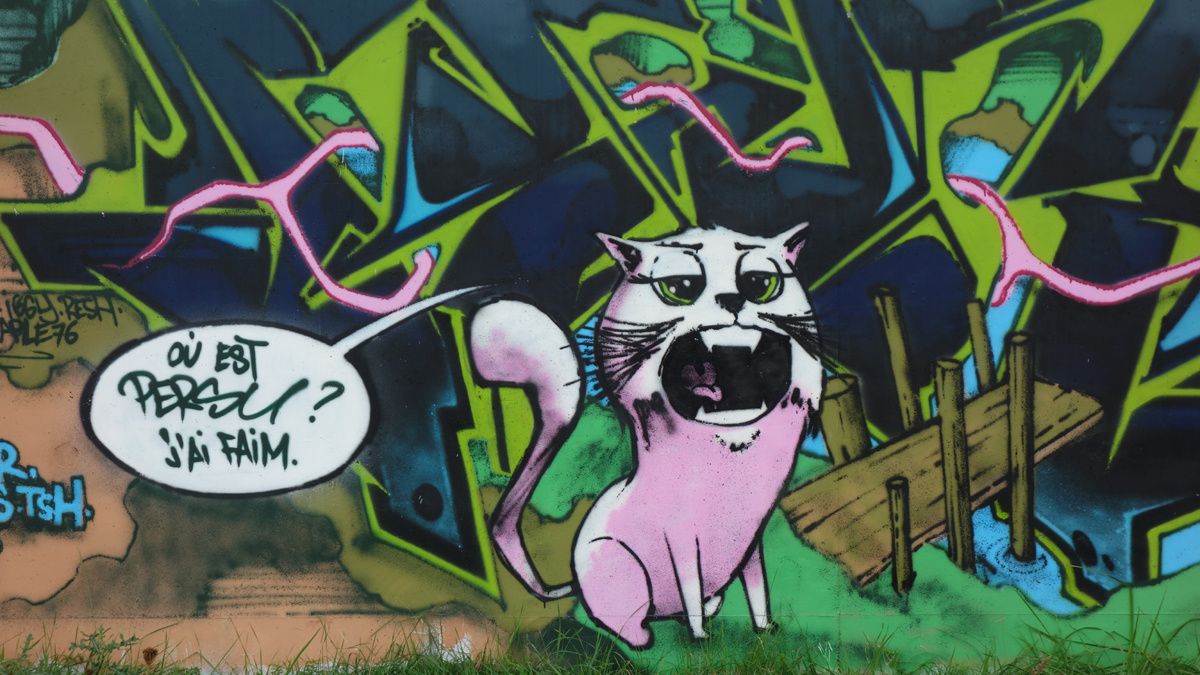 Street Art : Graffitis & Fresques Murales 42285 Saint Romain le Puy