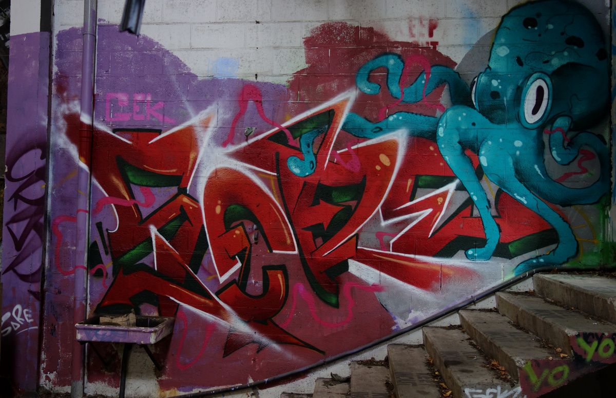 Street Art : Graffitis & Fresques Murales 42005 Andrezieux Boutheon