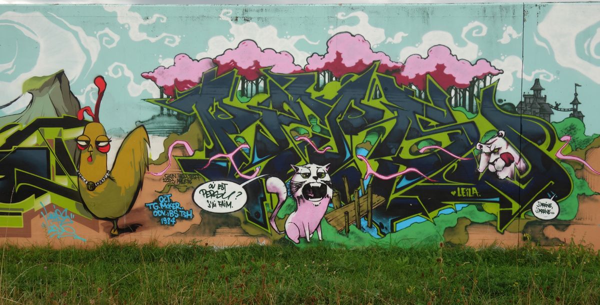 Street Art : Graffitis & Fresques Murales 42285 Saint Romain le Puy