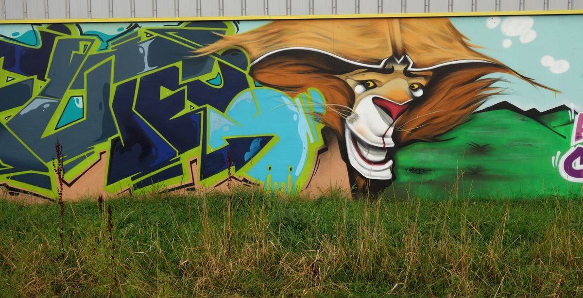 Street Art : Graffitis & Fresques Murales 42285 Saint Romain le Puy