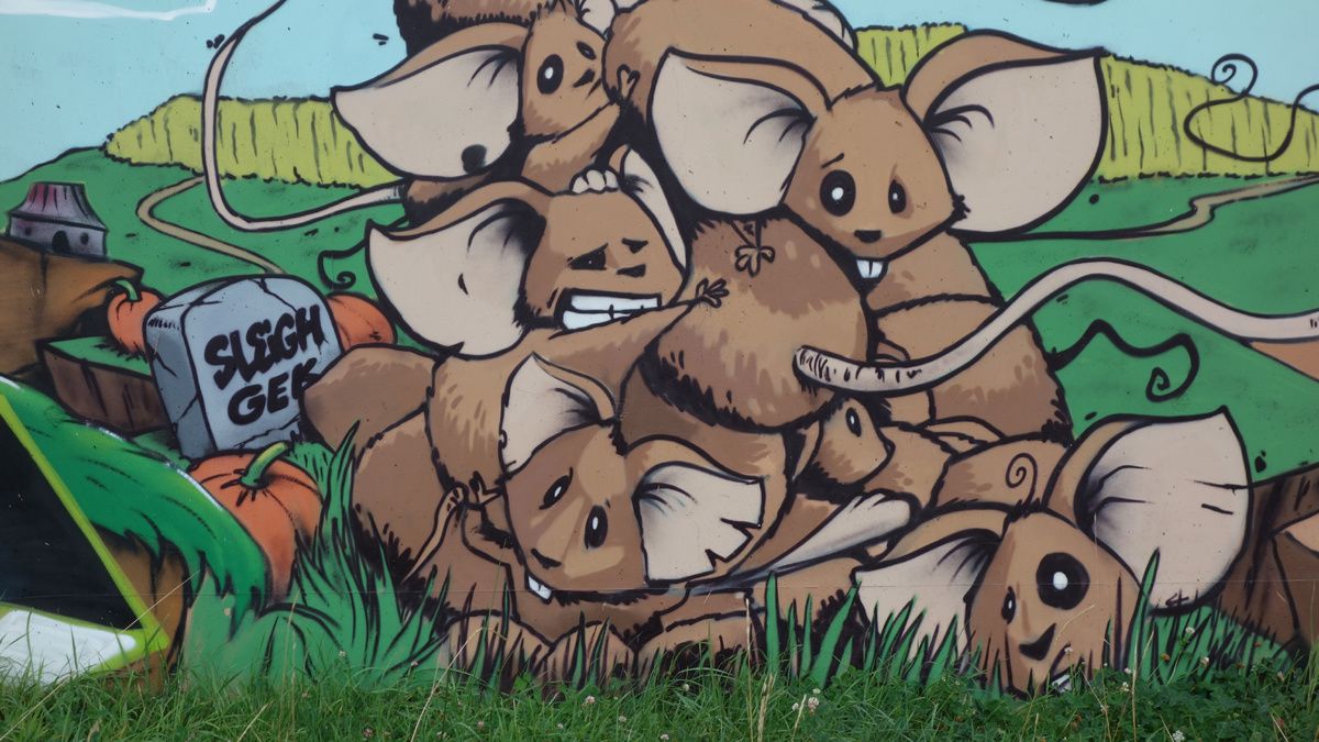 Street Art : Graffitis & Fresques Murales 42285 Saint Romain le Puy