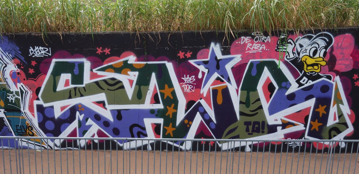 Street Art : Graffitis & Fresques Murales 25045 Castegnato ( Italy )