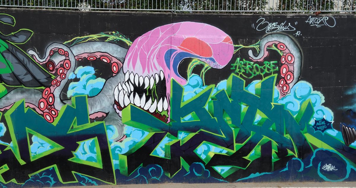 Street Art : Graffitis & Fresques Murales 25045 Castegnato ( Italy )