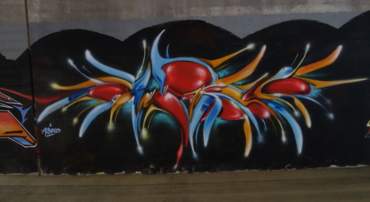 Street Art : Graffitis & Fresques Murales 6802 Rivera (Tessin Suisse)