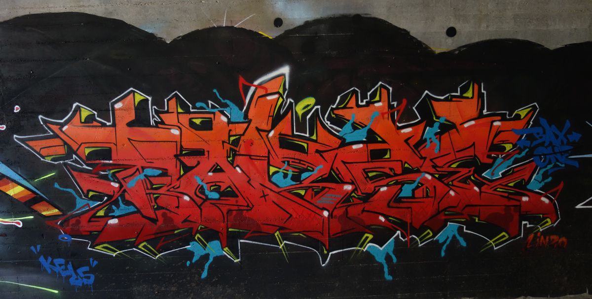 Street Art : Graffitis & Fresques Murales 6802 Rivera (Tessin Suisse)