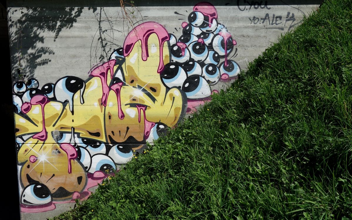 Street Art : Graffitis & Fresques Murales 6802 Rivera (Tessin Suisse)