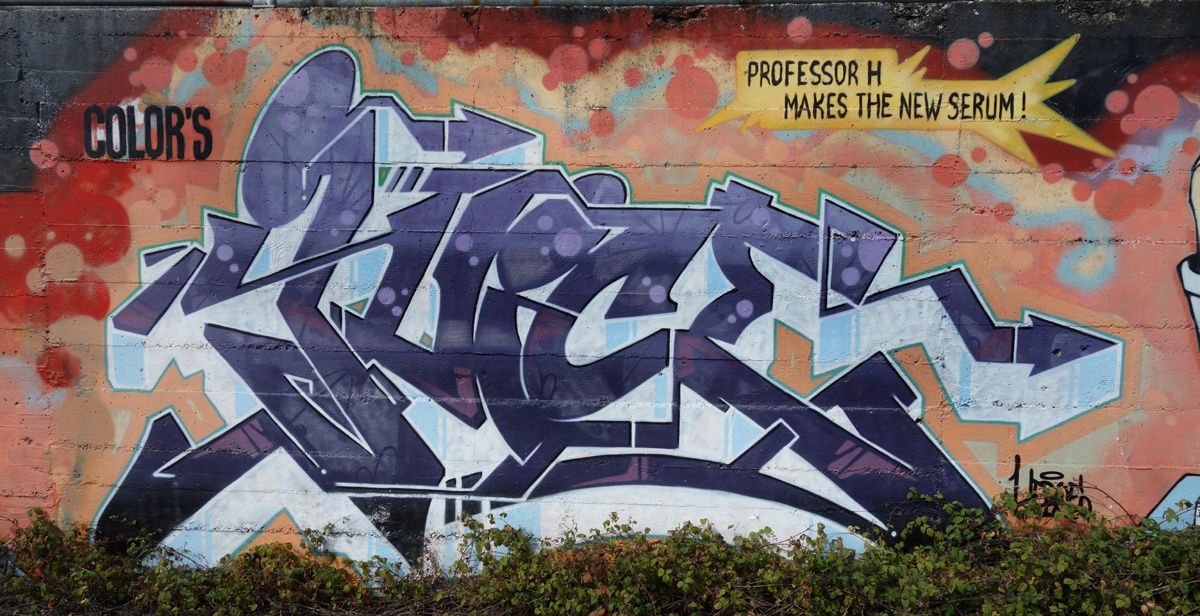 Street Art : Graffitis & Fresques Murales 1214 Vernier ( Suisse )