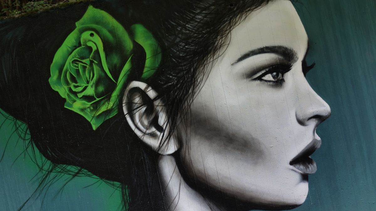 Street Art : Graffitis & Fresques Murales 1217 Meyrin ( Suisse )