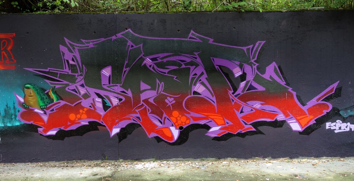 Street Art : Graffitis & Fresques Murales 1217 Meyrin ( Suisse )