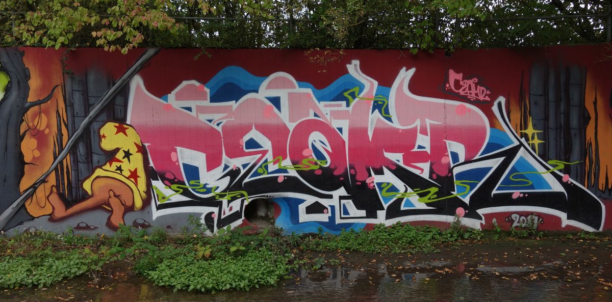 Street Art : Graffitis & Fresques Murales 1217 Meyrin (Suisse)