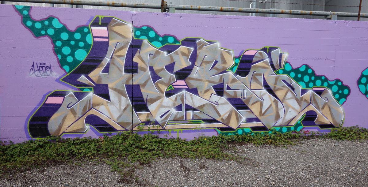 Street Art : Graffitis & Fresques Murales 1214 Vernier ( Suisse )
