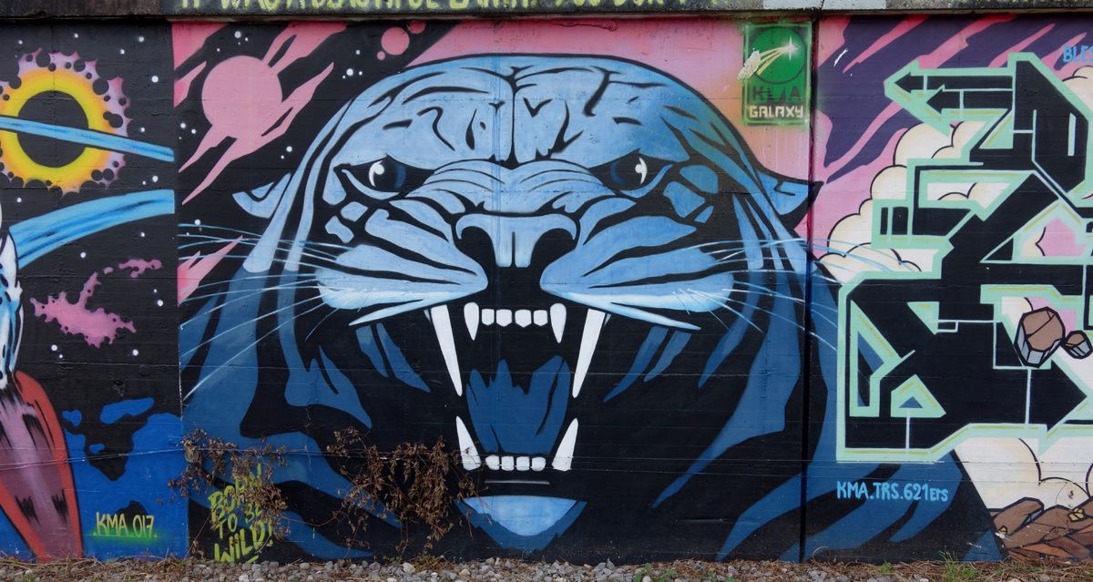 Street Art : Graffitis & Fresques Murales 1214 Vernier ( Suisse )