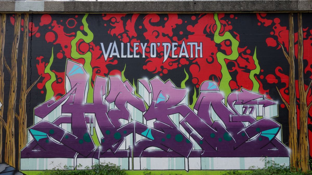 Street Art : Graffitis & Fresques Murales 1214 Vernier ( Suisse )