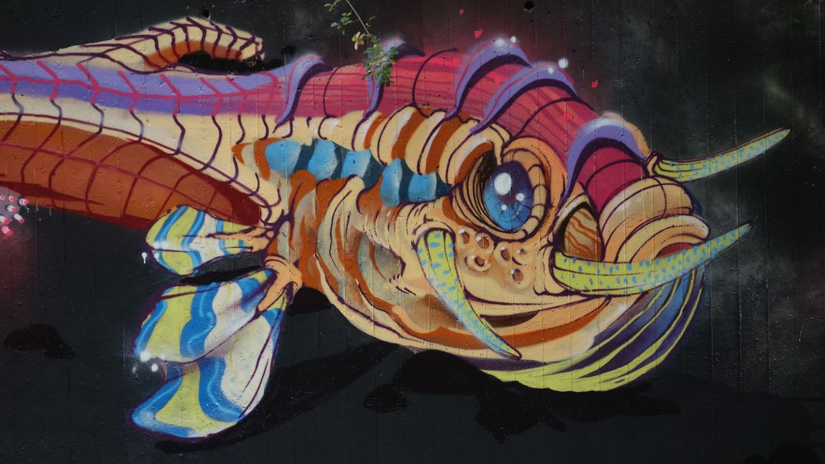 Street Art : Graffitis & Fresques Murales 1217 Meyrin ( Suisse )