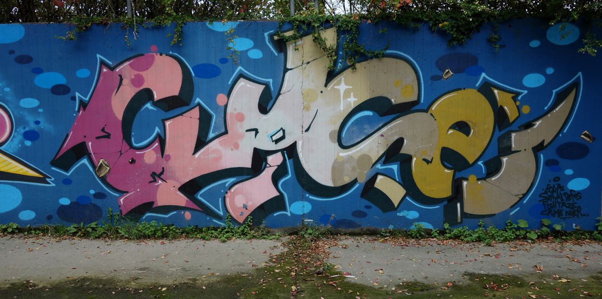 Street Art : Graffitis & Fresques Murales 1217 Meyrin (Suisse)