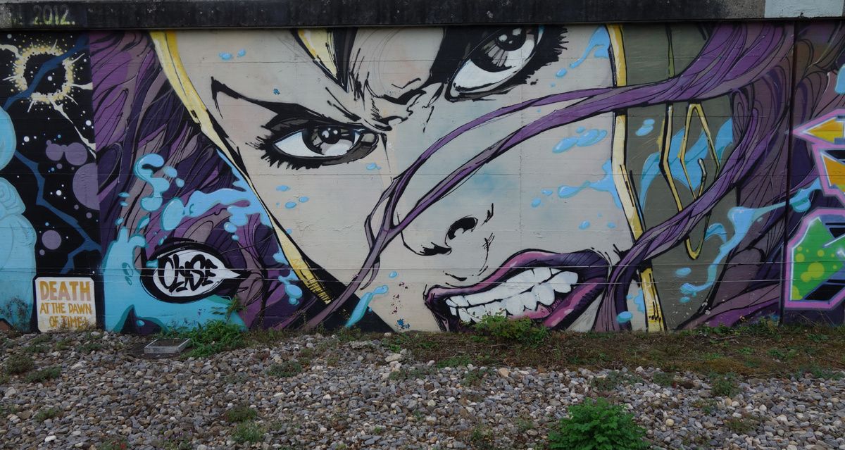 Street Art : Graffitis & Fresques Murales 1214 Vernier ( Suisse )