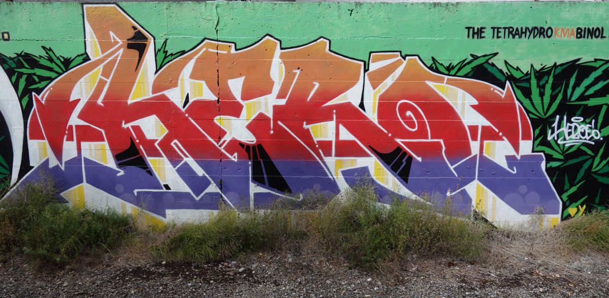 Street Art : Graffitis & Fresques Murales 1214 Vernier ( Suisse )