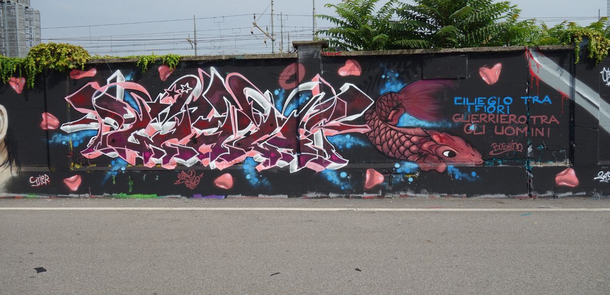 Street Art : Graffitis & Fresques Murales 20157 Milano ( Italy )