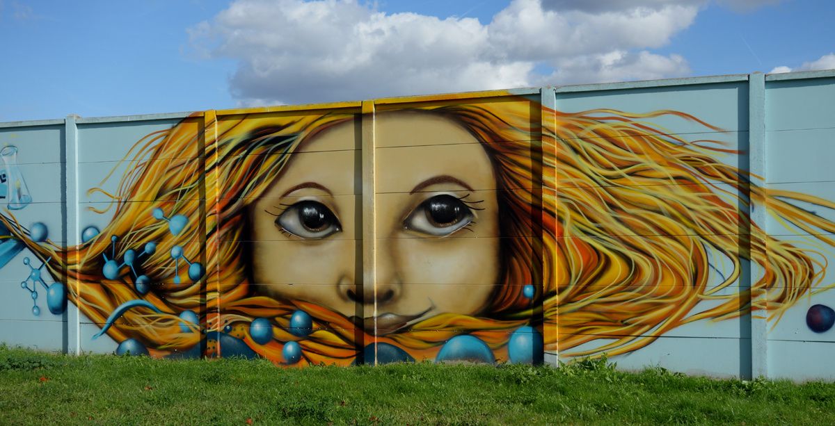 Street Art : Graffitis &amp; Fresques Murales 93001 Aubervilliers