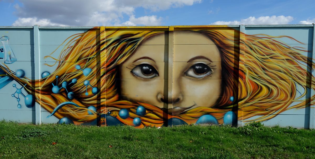 Street Art : Graffitis & Fresques Murales 93001 Aubervilliers