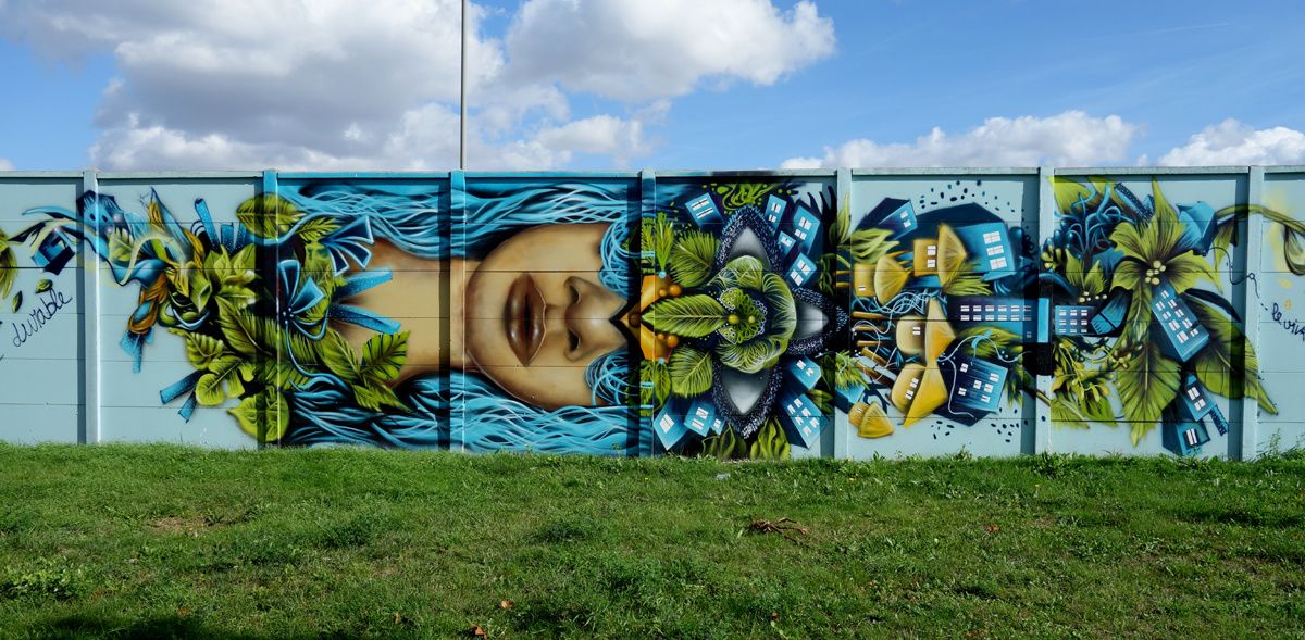 Street Art : Graffitis & Fresques Murales 93001 Aubervilliers