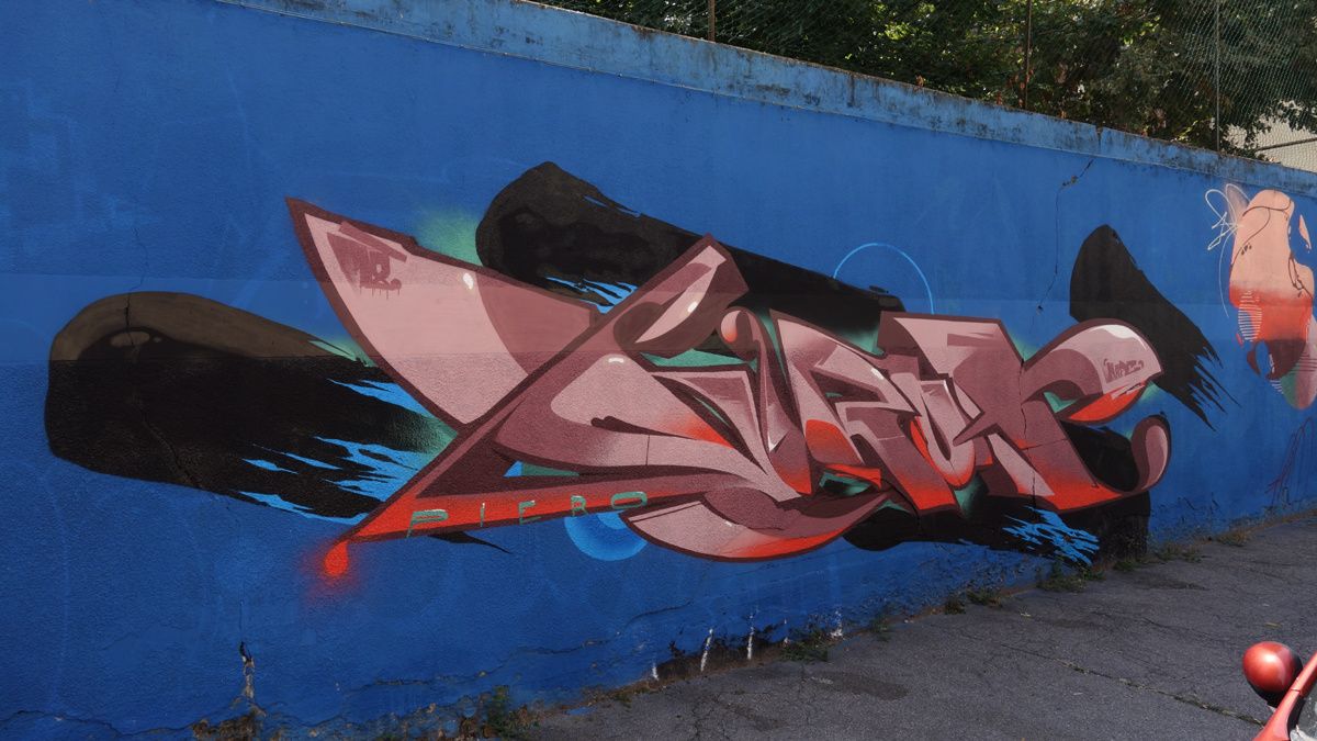 Street Art : Graffitis & Fresques Murales 10154 Turino ( Italy )