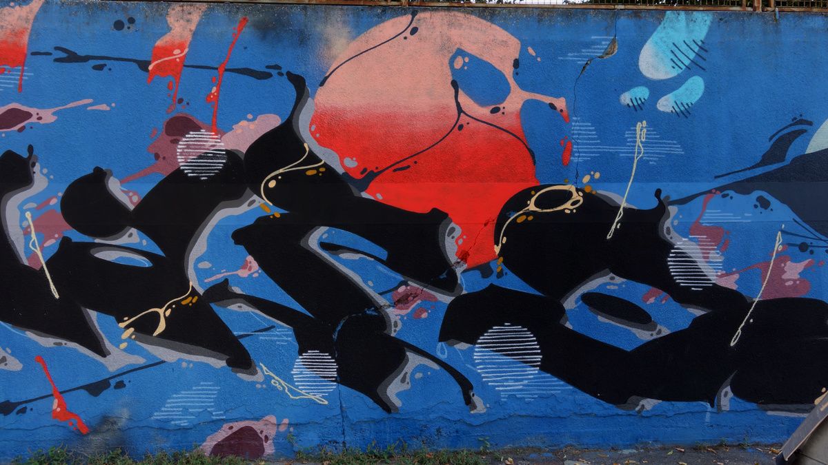 Street Art : Graffitis & Fresques Murales 10154 Turino ( Italy )