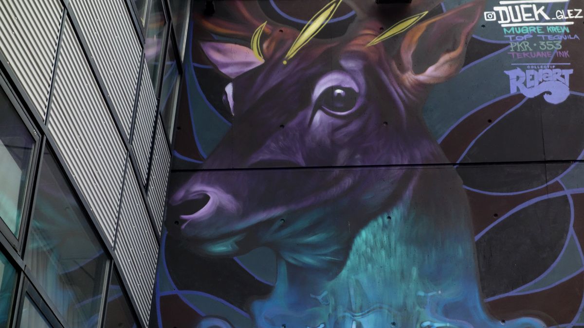 Street Art : Graffitis & Fresques Murales 59000 Lille