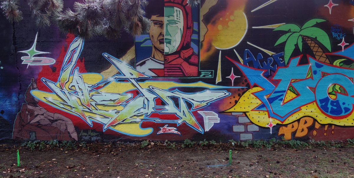 Street Art : Graffitis & Fresques Murales 73065 Chambery